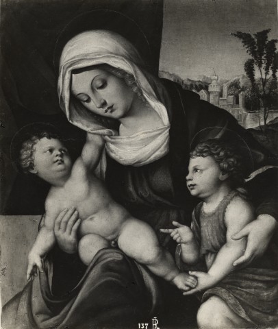 Foto Reali — Anonimo romagnolo - sec. XVI - Madonna con Bambino e san Giovannino — insieme